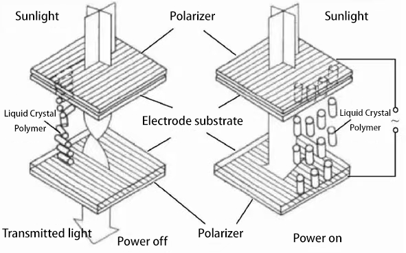 TN 屏的基本原理