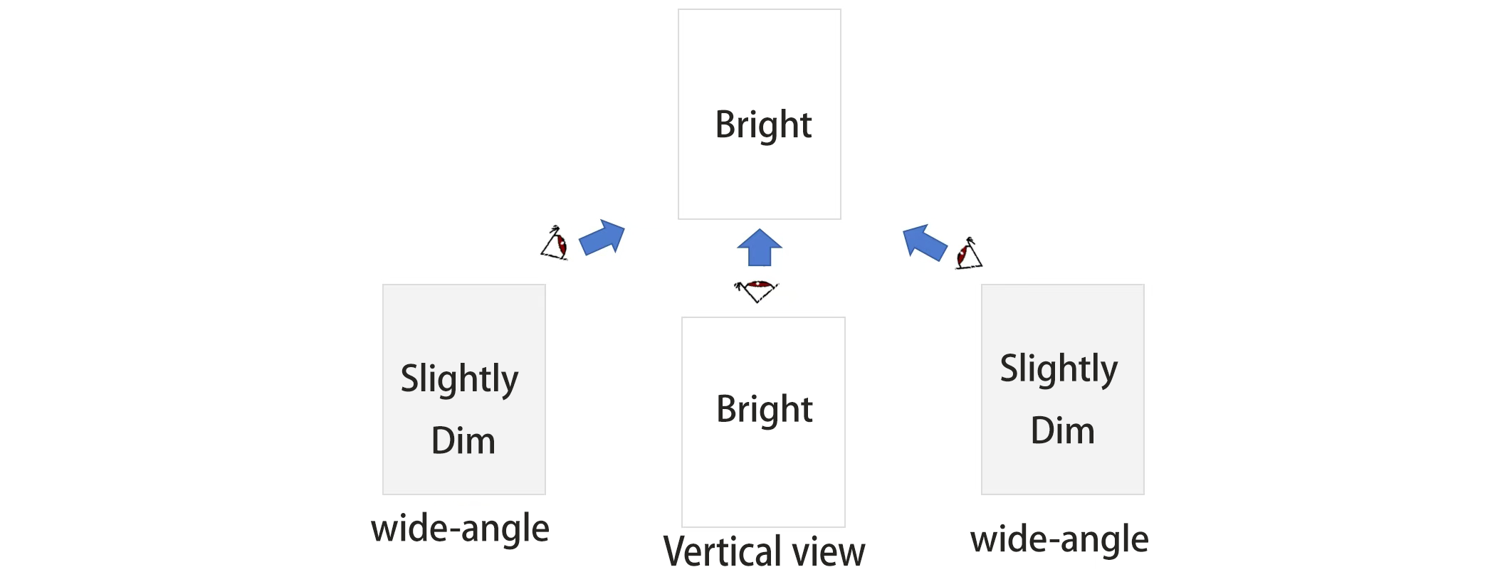 不同视角亮度衰减程度